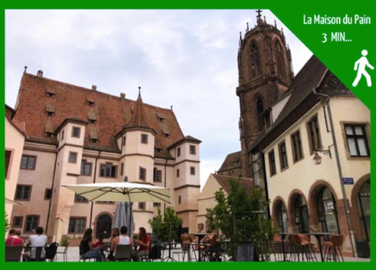 Apartamento La Parenthese Alsacienne Au Coeur De Sélestat Exterior foto