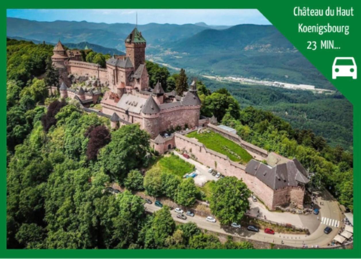Apartamento La Parenthese Alsacienne Au Coeur De Sélestat Exterior foto